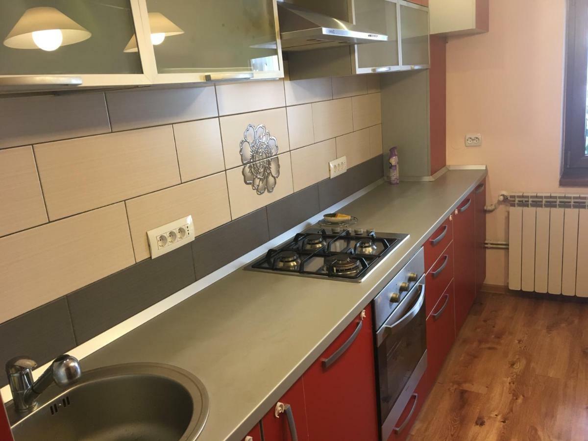 Apartament Antonia Apartment Tirgu Ocna Exterior photo